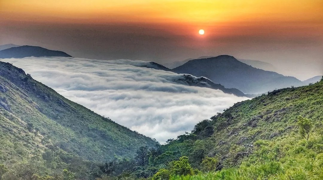 Vanajangi Tour Package